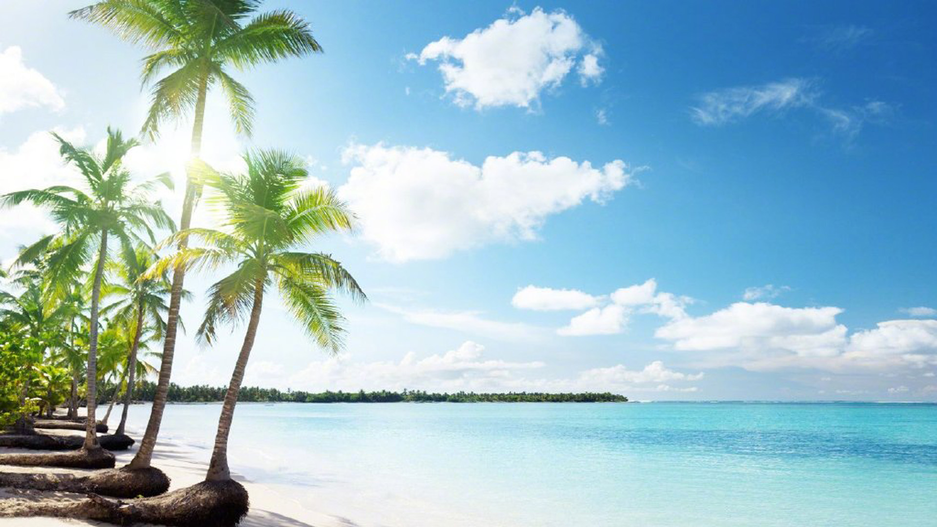 自动检测流量关闭网络接口、次月自动恢复网络