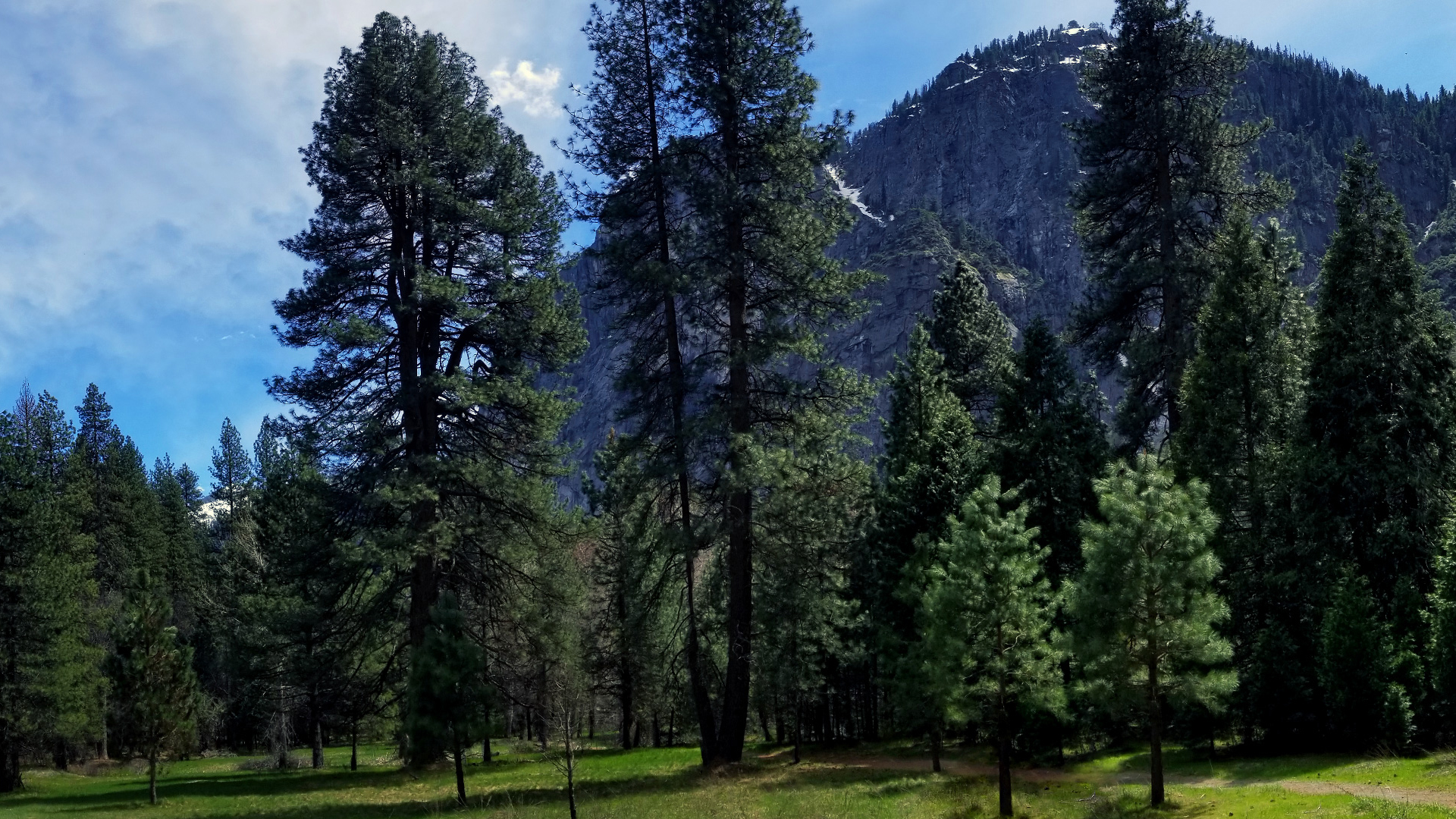 RustDesk 通过 API 防止服务器被滥用 自动编译将服务器等信息内置客户端